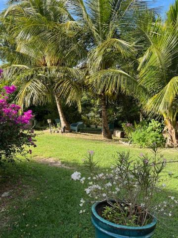 Jardin Des Anges-Bungalows Creoles Et Studio Le Moule Exterior photo