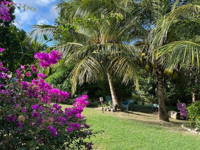 Jardin Des Anges-Bungalows Creoles Et Studio Le Moule Exterior photo